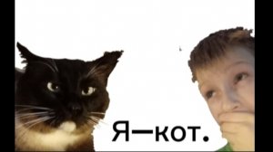 Короче говоря: я–кот! 1 серия "Спас хозяина."