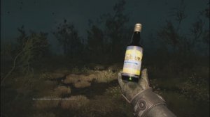 S.T.A.L.K.E.R. 2 - Легендарный изменённый предмет ВОДА