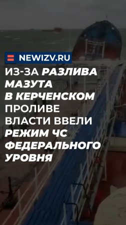 Из-за разлива мазута в Керченском проливе власти ввели режим ЧС федерального уровня