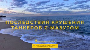 Последствия крушения танкеров с мазутом| Побережье Азовского моря | Коттеджный Комплекс "Мечта"