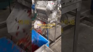 Автоматическая машина для химической чистки и удаления камней с перцем чили