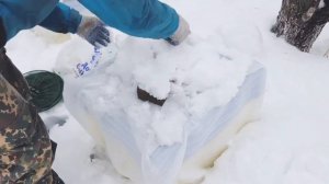 Кормим пчёл зимой/Зимовка пчёл/Забрус/Пасека зимой