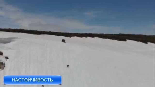 Песня о Настойчивости и упорстве
