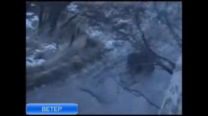 Ветер Ветерок Любэ