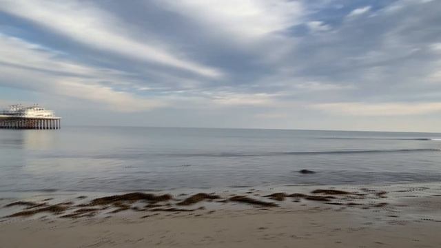 ОДИН ДЕНЬ ИЗ ЖИЗНИ ИММИГРАНТОВ В США.DISNEY МАГАЗИН.