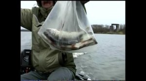 Волхов (Перезагрузка).avi