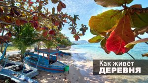 Жизнь в Тайской деревне. 1 часть.