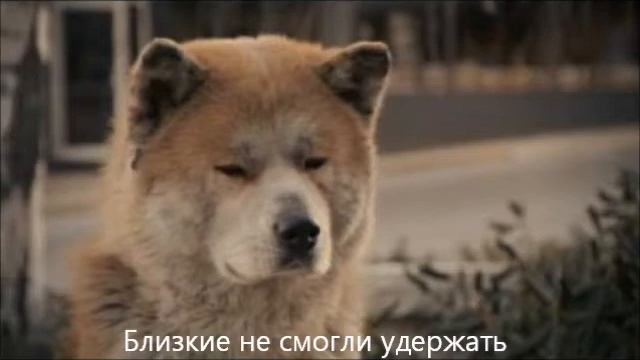 преданность