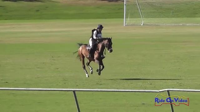 426SC Lisa Sabo on WTF Doria Training 3-Day Steeplechase Galway Downs Int'l Nov. 2015 смотреть онлайн