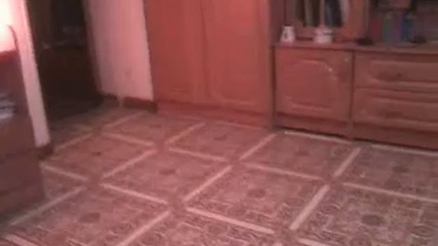 Собака катается на линолиуме смотреть онлайн