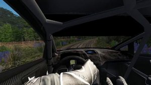 I HATE RALLYING IN ASSETTO CORSA
