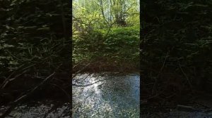 Абиссинская скважина не везде возможна... Вода и Бур г Владимир.