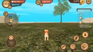 CatSim - Симулятор Кошки Онлайн 😊🙃🥰😄😺🐈