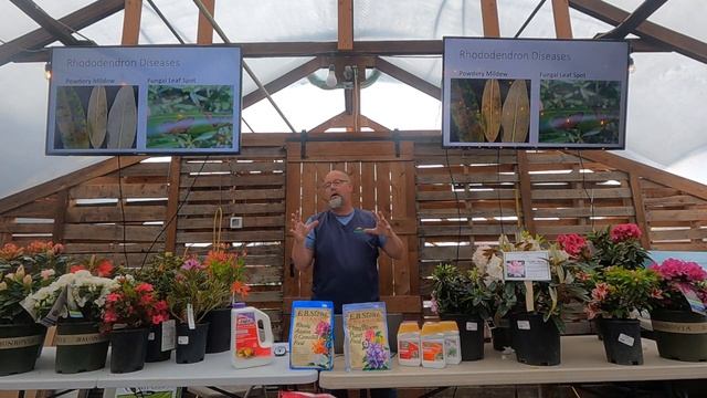 Rockin' Rhodies & Azaleas смотреть онлайн