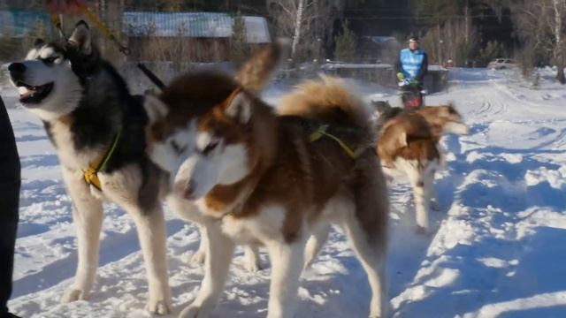 2015, Красноярск. смотреть онлайн