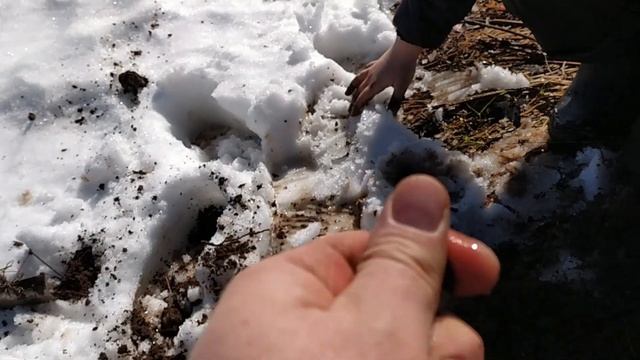 Первый коп 2023 и сразу находка по СС! смотреть онлайн