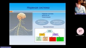 ППК Психолого-педагогическое практика-Консультация_3