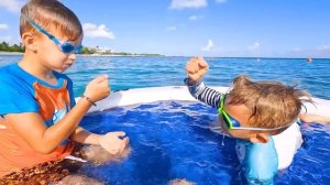 Влад и Ники - Семейные поездки в зоопарк и парк развлечений для детей