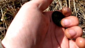 Монета 1666 года и другие находки. Коп по старине.