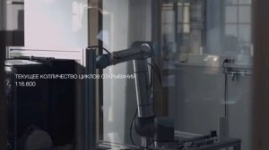 Свобода с Asko