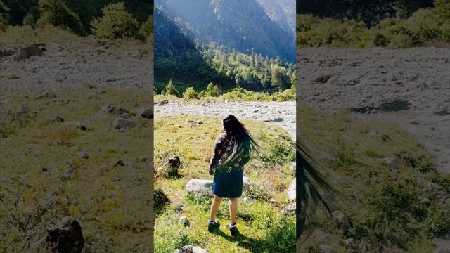 Sikkim travel vlog : ytshot #satindersartaaj #teju #sikkimtour #shortsfeed #photography #tejashree смотреть онлайн