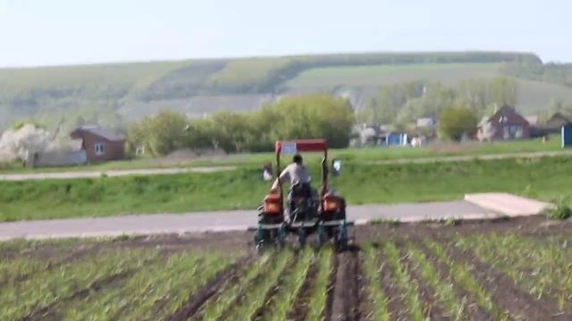 Между рядная обработка чеснока смотреть онлайн