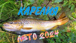 Лето 2024. Карелия.