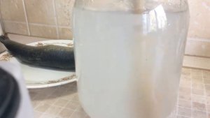 ЗАСОЛКА СЕЛЕДКИ (СКУМБРИИ)