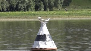 Иртыш . Ловля язя на течении . Рыбалка на фидер . Полнейший Relax .