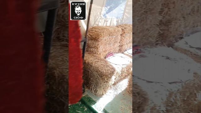 ПАСТИЛА ИЗ ТОМАТОВ НА СОЛОМЕ. РЕЦЕПТЫ СЮФ #еда #рецепт #пастила #помидоры #томаты #кубань #краснода