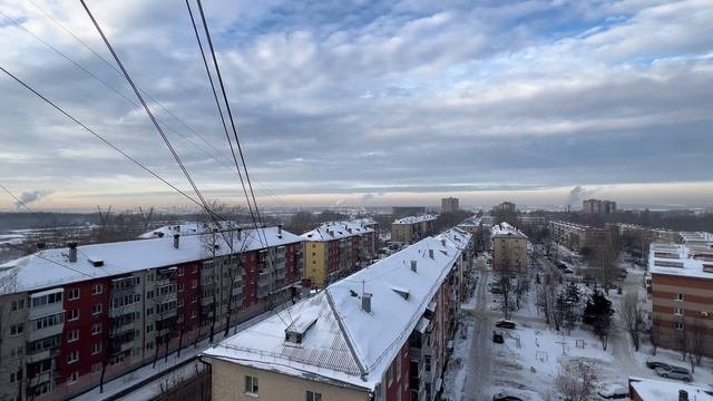 веденеева