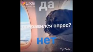 🌈выбирашки из лайка ! Выбирашки🌈