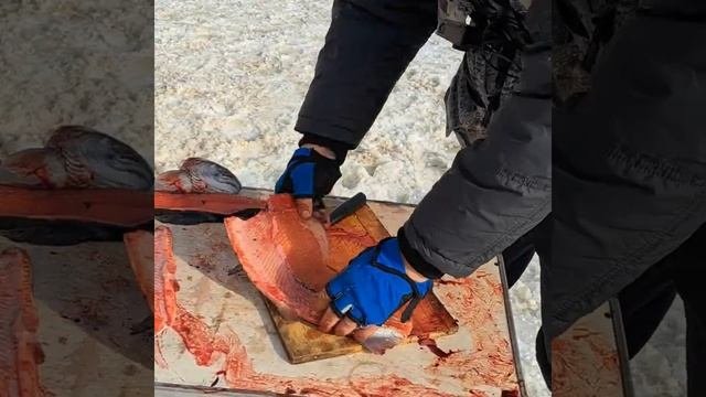 Форель вкусная – да прятаться искусная❗️ 17.02.24 Рыбалочка в Место Клёва❗️