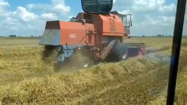 PODSUMOWANIE ŻNIW 2019 смотреть онлайн