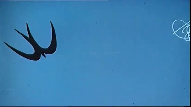 Баранкин, будь человеком! Советский рисованный мультфильм 1963 года смотреть онлайн