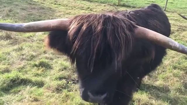 The Scottish Brave - The piper from the Dark Island смотреть онлайн