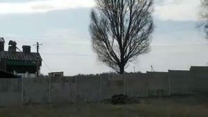 отпугиватель птиц пропановая пушка alligator fx200 , отпкгиватель голубей,воробьёв и друх птиц