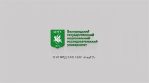 В НИУ «БелГУ» подвели итоги 17-го Рождественского благотворительного марафона