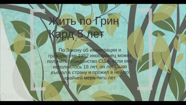 Иммиграция в США в виде дерева