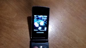 Samsung SGH-E210 | On, Low Battery, Off