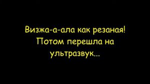 Записки кота Мурзика