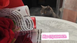С годовщиной!