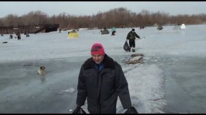 Омск.Субботник.Фион.2013г.