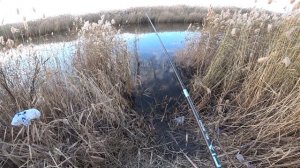 Ловля ротана осенью . Поплавок , удочка с боковым кивком .