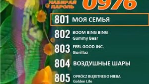 Реклама на BRIDGE TV 2012 (32/70)