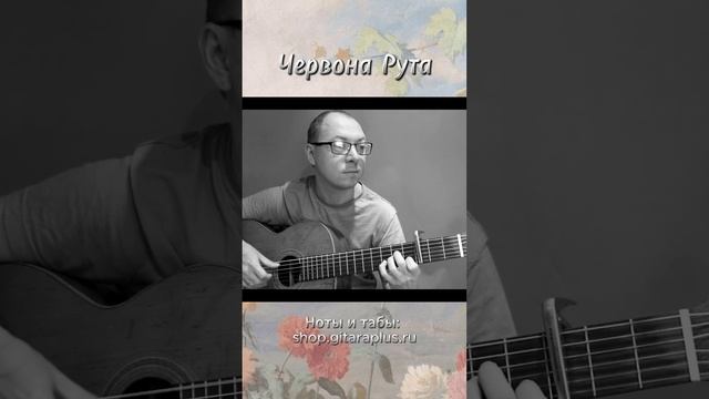 Червона рута (гитара)