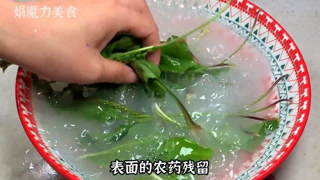 車前草配點黑豆，老一輩的智慧結晶，很多人還不知道，實用省錢【娟魔力美食】，#車前草，#黑豆，#車前草配點黑豆作用