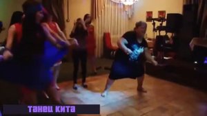 Песня Танец кита Диджей Музей