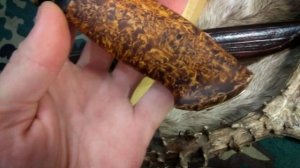 Нож Скандинавского типа