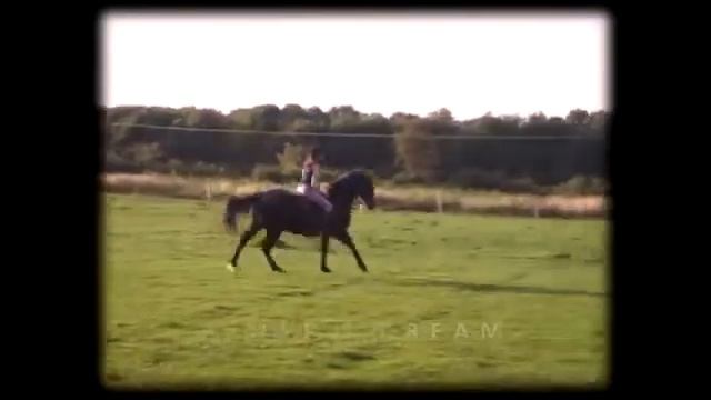 Just A Dream [Goodbye Brom] смотреть онлайн